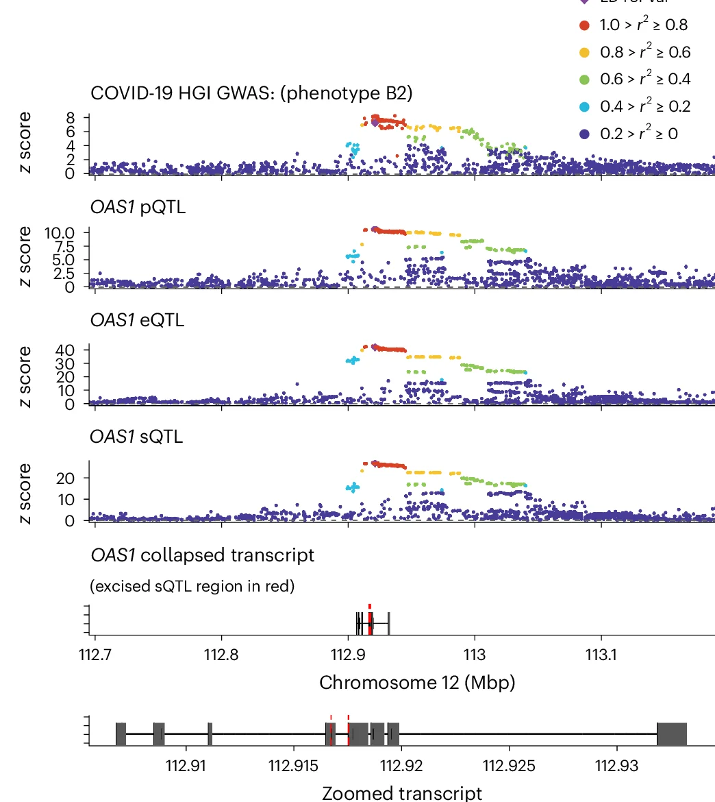 Open access visualization of Scatter Plot, Multitrait Colocalization, COVID-19, GWAS, cis-pQTL