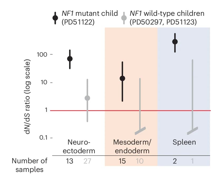 Open access visualization of Scatter Plot, Error Bars, dN/dS Ratios, Truncating Variants, Germ Layer