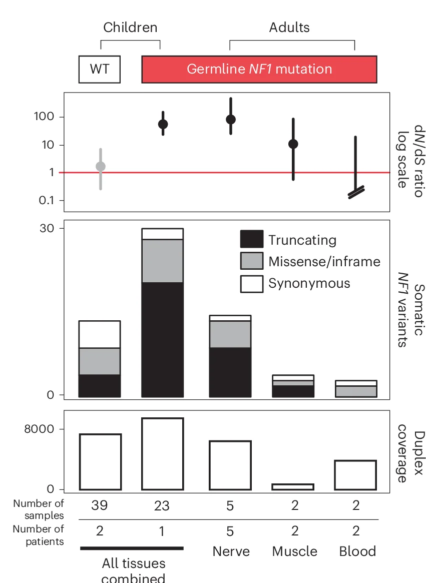 Open access visualization of Error Bars, Stacked Bar Plot, Bar Plot, Normal Tissues, Neurofibromatosis Type 1