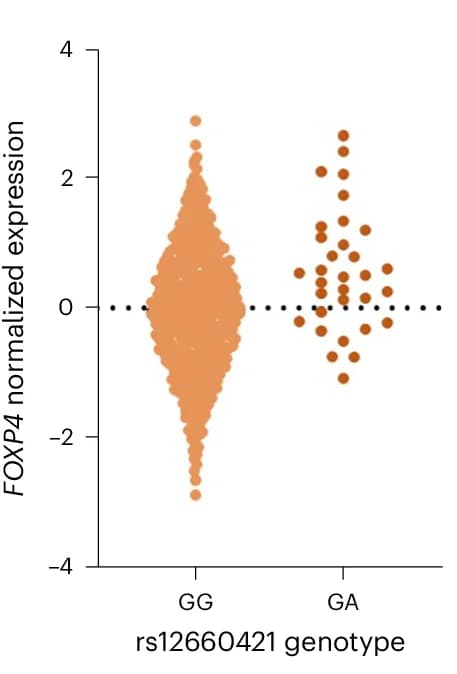Open access visualization of Scatter Plot, GTEx Dataset, Proxy Variant, eQTL, FOXP4 Expression
