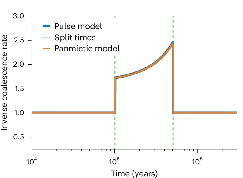 Open access visualization of Line Plot, Line Step, Coalescence Rate, Structured Model, Unstructured Model