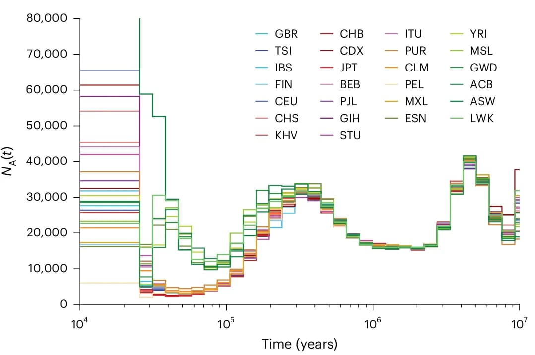 Open access visualization of Line Plot, Line Step, PSMC, Population Size, Time