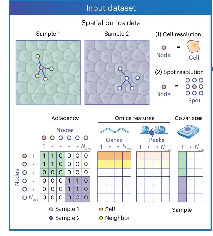 Open access visualization of Workflow, Illustration, Table Image, Spatial Omics Data, Neighborhood Graph