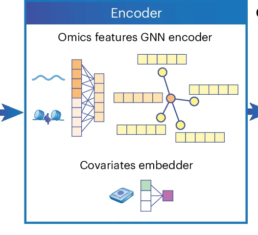 Open access visualization of Workflow, Network, Graph Neural Network, Cell Embeddings, Covariates