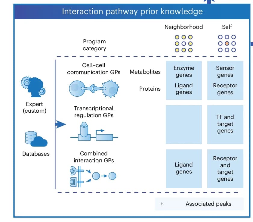 Open access visualization of Workflow, Flowchart, Pathway, Gene Programs, Neighborhood Components