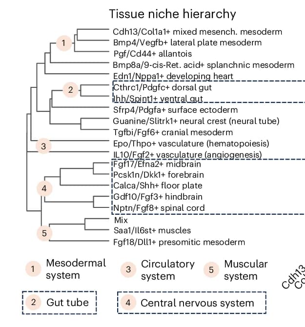 Open access visualization of Network, Pathway, Dendrogram, Program Activities, Hierarchy