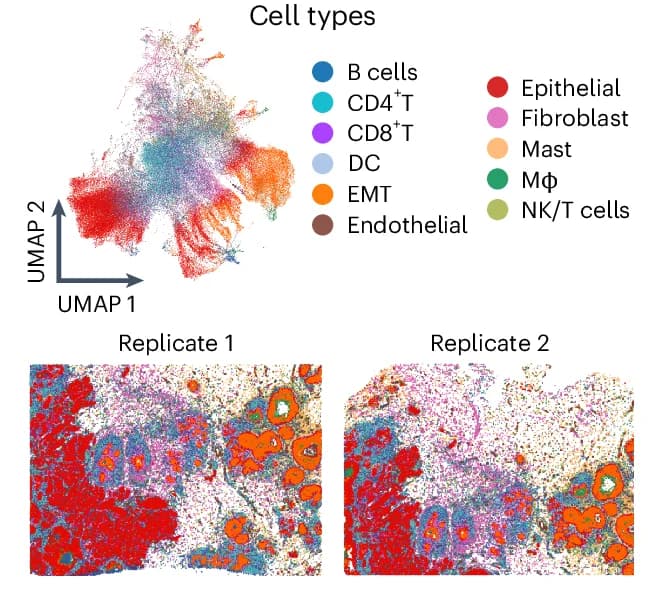 Open access visualization of UMAP, Microscopy, Heatmap, Normalized Activities, Cancer Progression
