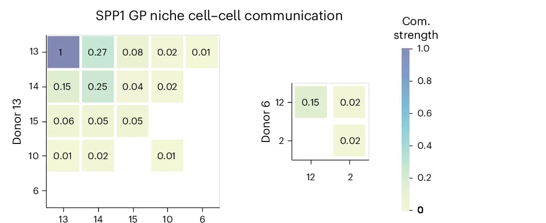 Open access visualization of Heatmap, SPP1 LR, Niches, Query Samples, Reference Samples