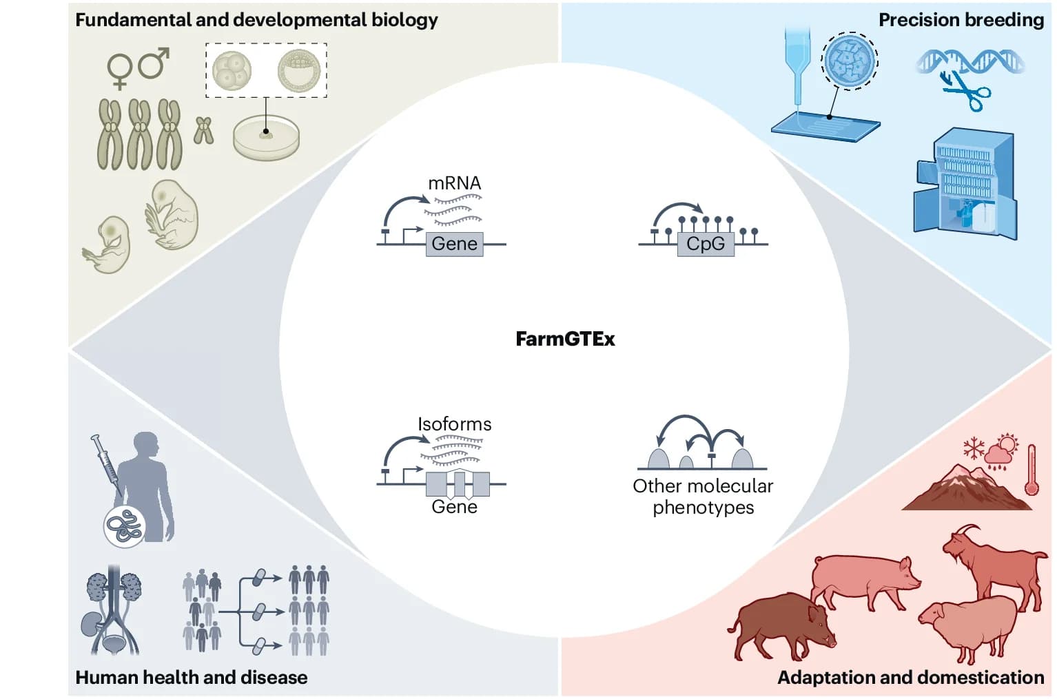 Open access visualization of Workflow, Illustration, Genomic Variants, Biological Contexts, Complex Phenotypes