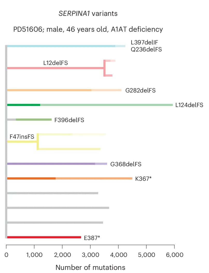 Open access visualization of Bar Plot, Phylogenetic Tree, Clonal Structure, Liver Sample, SERPINA1 Mutations