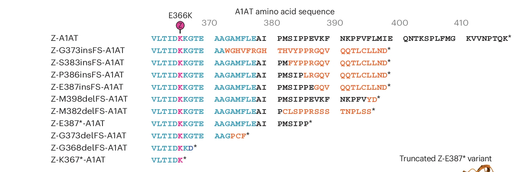 Open access visualization of Table Image, C-terminal Variants, Z-A1AT, Protein Sequence, Sequence Alignment