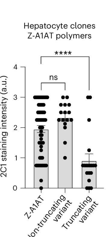 Open access visualization of Bar Plot, Error Bars, Scatter Plot, Z-A1AT Polymer, Staining Intensity