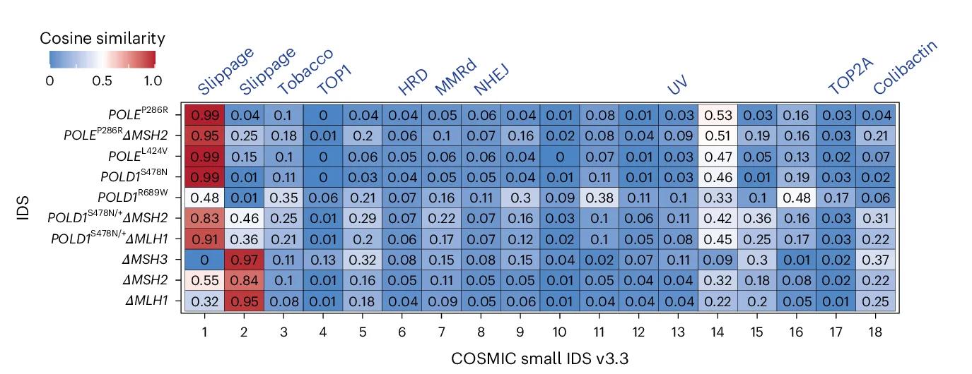 Open access visualization of Heatmap, Cosine Similarities, Gene Edit InDel Signatures, COSMIC InDel Signatures, Etiologies
