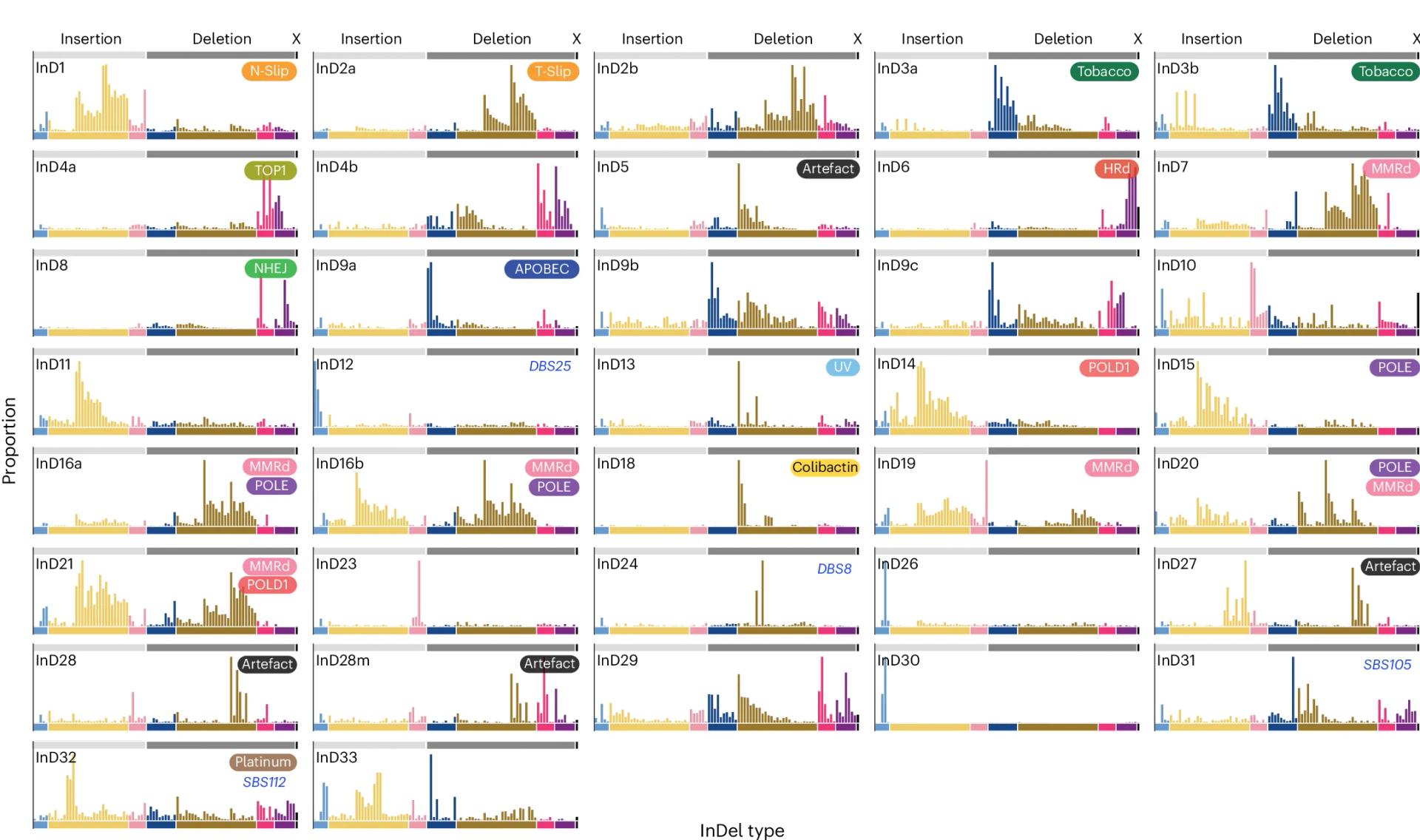 Open access visualization of Bar Plot, Histogram, InDel Mutational Signatures, Cancer Cohorts, Etiologies