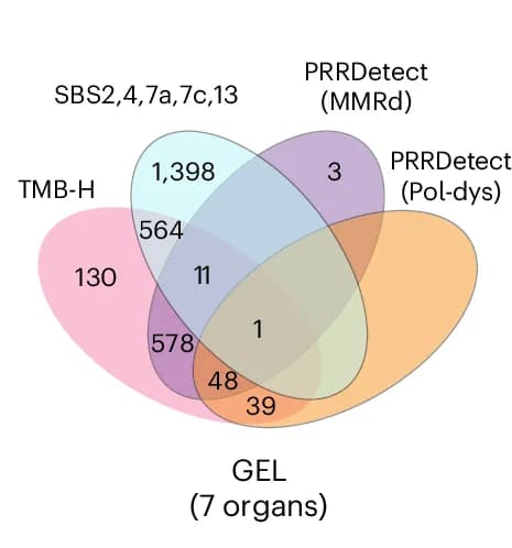 Open access visualization of Venn Diagram, TMB, SBS Signatures, Hypermutation, PRRDetect