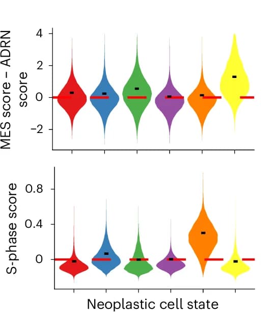 Open access visualization of Violin Plot, Violin Plots, MES, ADRN, Signature Score