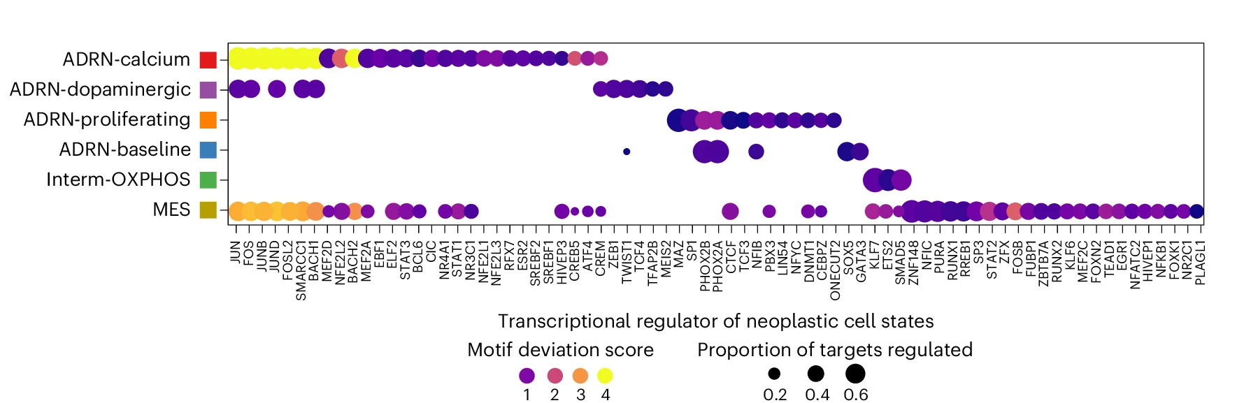 Open access visualization of Bubble Plot, Dotplot, Transcription Factors, Transcriptional Regulatory Network, Neoplastic Cell State