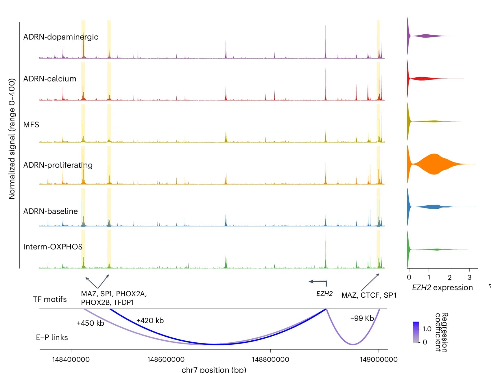 Open access visualization of Line Plot, Density Plot, Coverage Plot, Chromatin Accessibility, Neoplastic Cell States