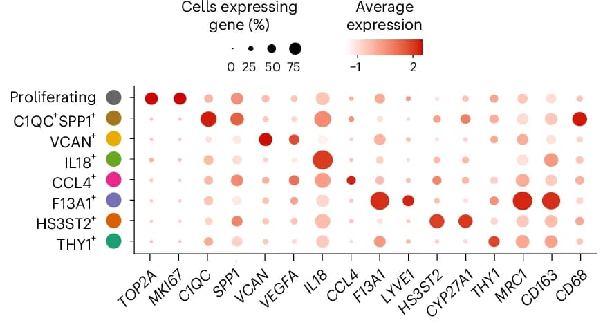 Open access visualization of Bubble Plot, Heatmap, Dotplot, Marker Genes, Gene Expression