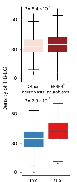 Open access visualization of Box Plot, HB-EGF, CODEX, Neuroblasts, Diagnosis