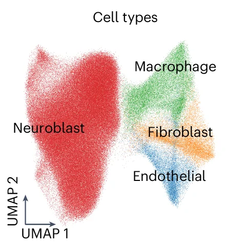 Open access visualization of Scatter Plot, UMAP, UMAP Projection, Xenium Transcriptomic Data, Major Cell Type