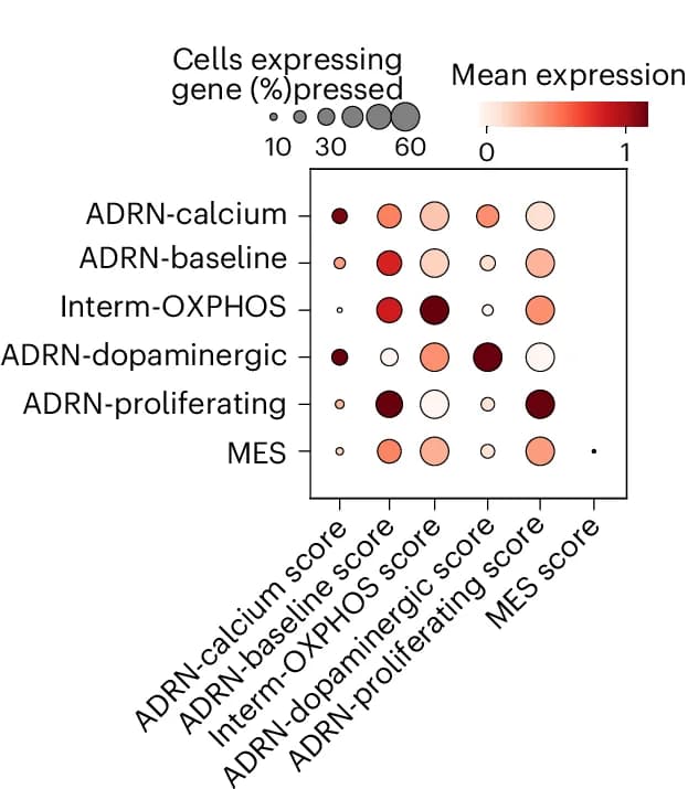 Open access visualization of Bubble Plot, Heatmap, Dotplot, Normalized Signature Scores, Neoplastic Cell State