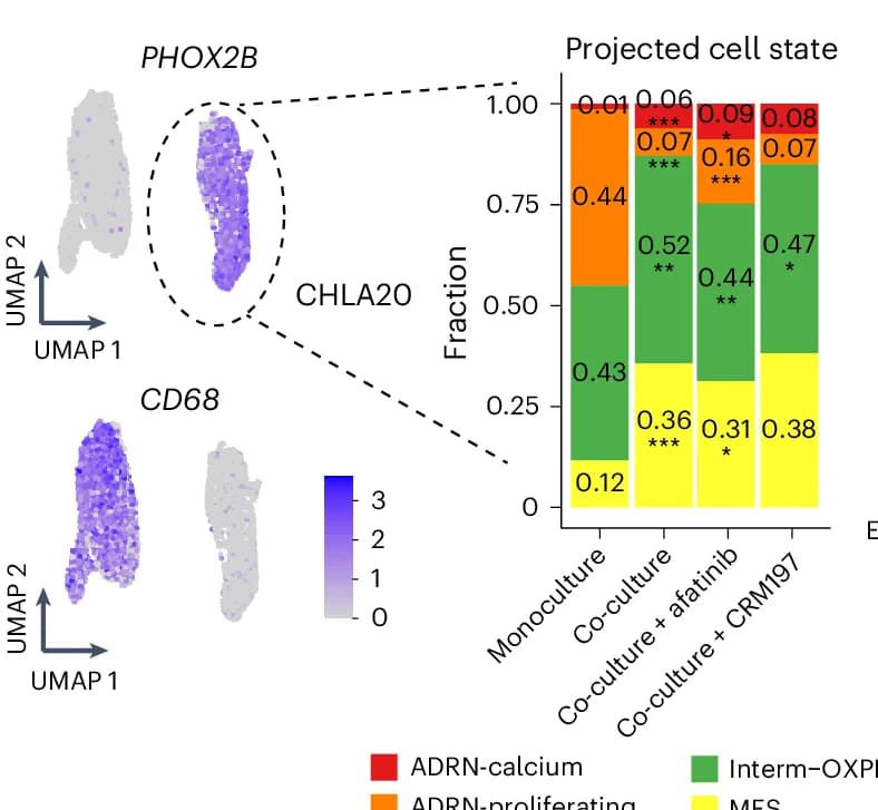 Open access visualization of Stacked Bar Plot, UMAP, Scatter Plot, Neoplastic Cell State, Co-culture