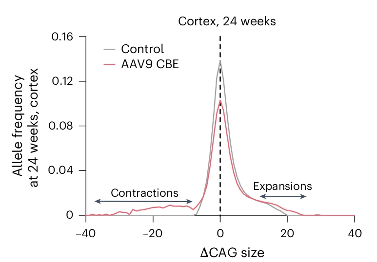 Open access visualization of Line Plot, Density Plot, CAG Allele Sizes, Tail, Cortex