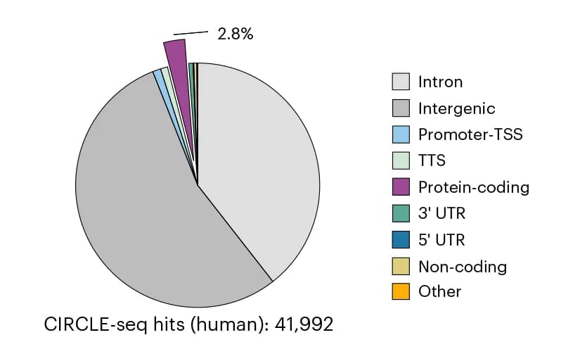Open access visualization of Pie Chart, CIRCLE-seq, Off-Target Hits, Human Genome, Targeted Region