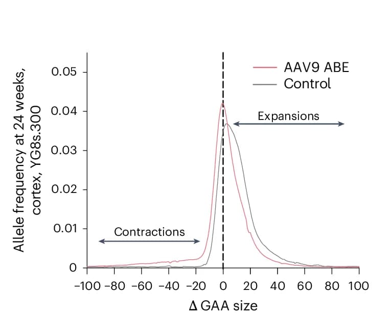 Open access visualization of Line Plot, Density Plot, GAA Repeats, YG8s Mice, FXN GAA Allele