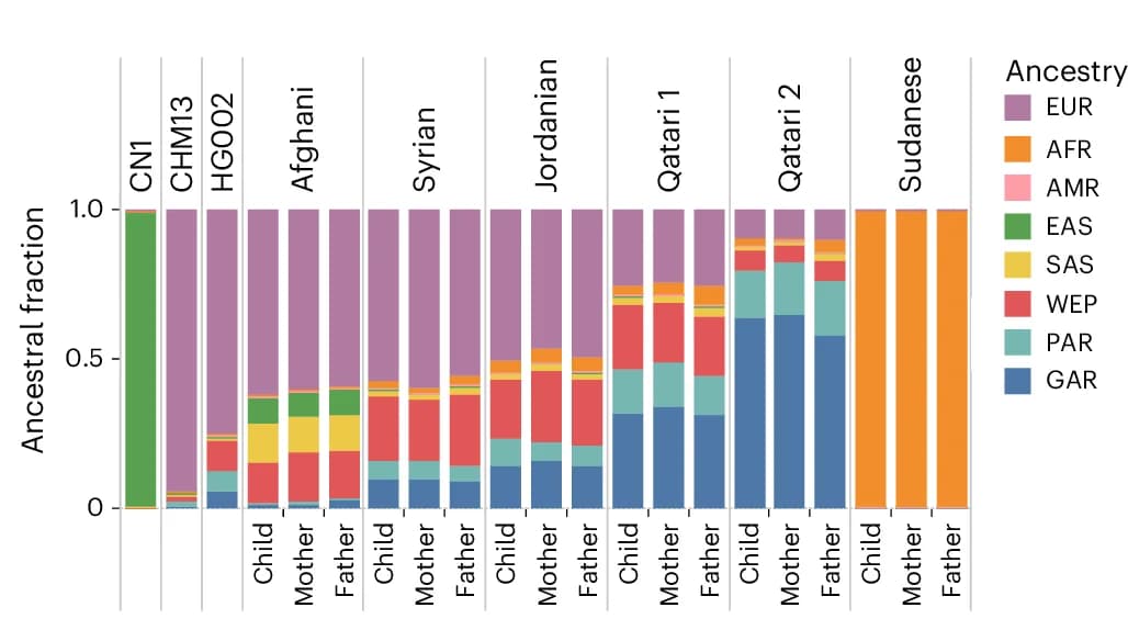 Open access visualization of Stacked Bar Plot, Ancestral Composition, Individual Participants, CN1, CHM13