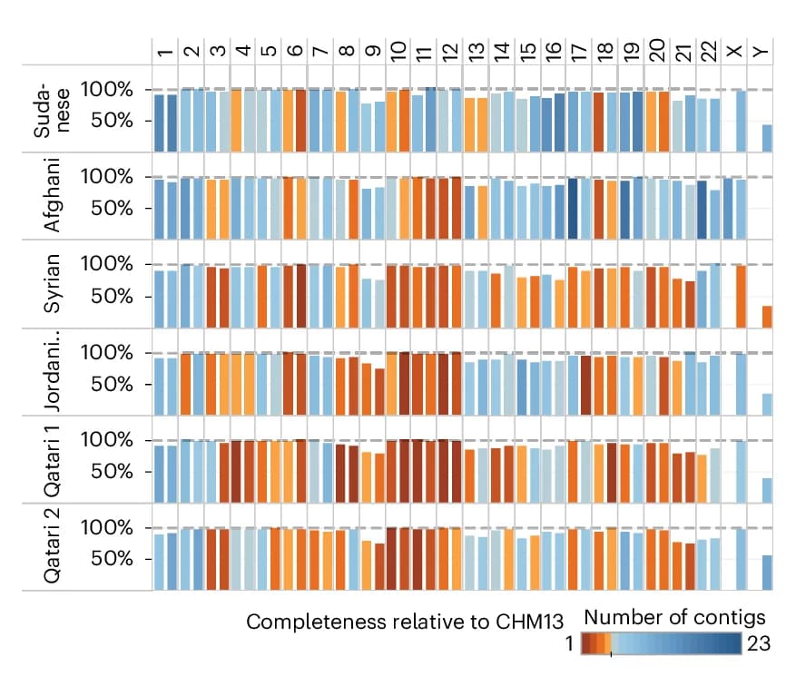 Open access visualization of Bar Plot, Completeness, Chromosome, CHM13, Contigs