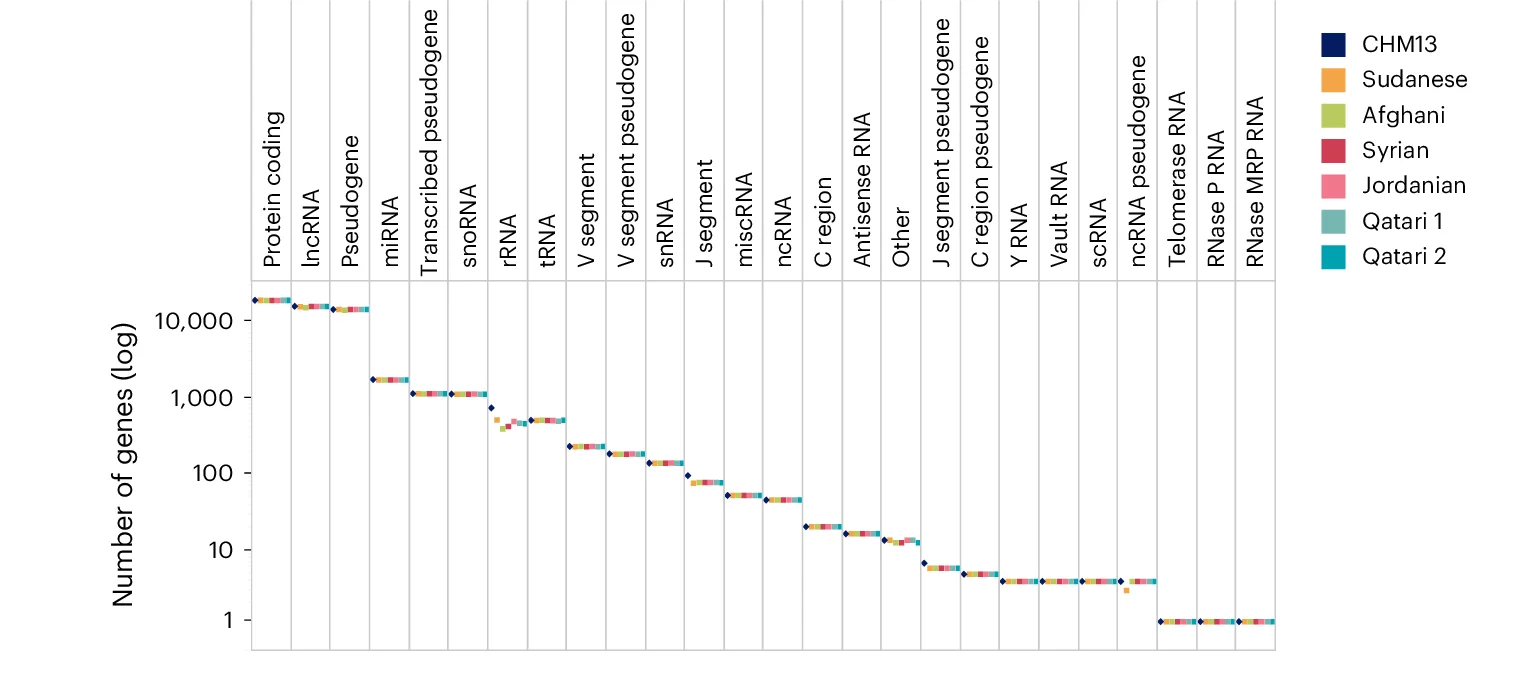 Open access visualization of Line Plot, Gene Counts, Gene Categories