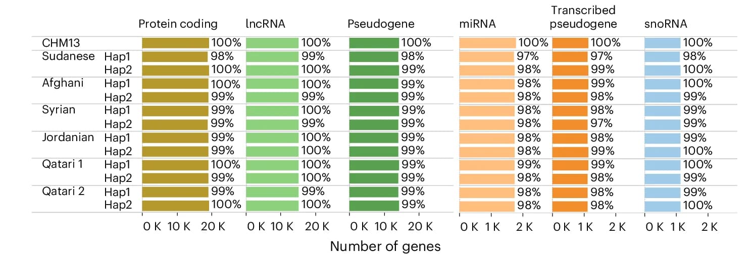 Open access visualization of Bar Plot, Coverage, Gene Categories