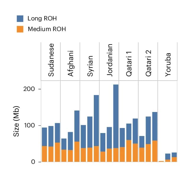 Open access visualization of Stacked Bar Plot, ROH, ME Assemblies, Yoruba 1KG trio