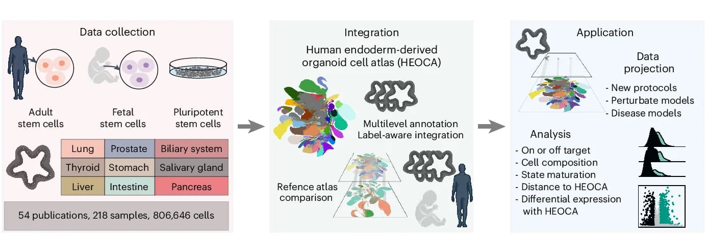 Open access visualization of Workflow, Scatter Plot, Density Plot, Illustration, Atlas Integration