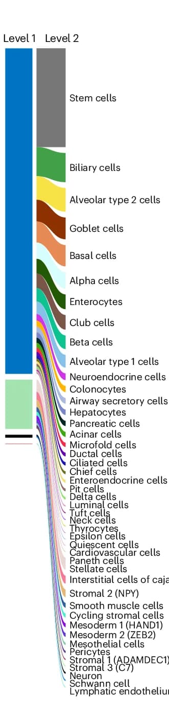 Open access visualization of Sankey, Cell Annotations, Cell Proportion