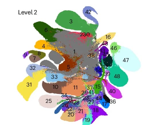 Open access visualization of Scatter Plot, UMAP, PCA, Organoid Atlas, Cell Annotations