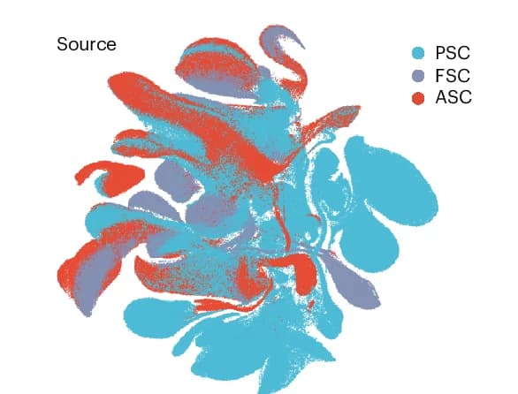Open access visualization of UMAP, Organoid Atlas, Stem Cell