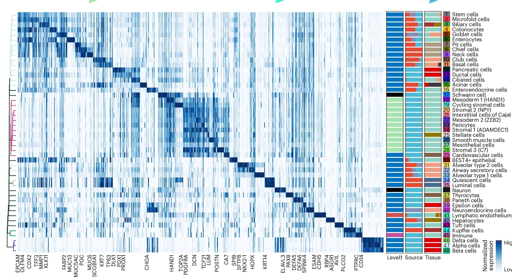 Open access visualization of Heatmap, Clustered, Bar Plot, Stacked Bar Plot, Marker Gene Expression