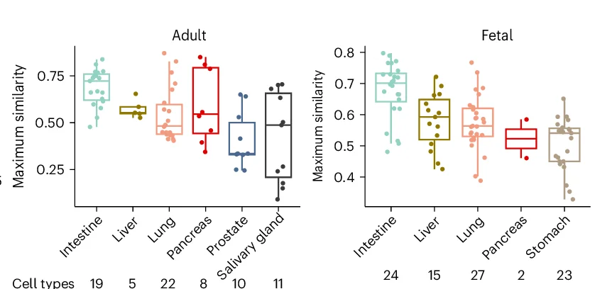 Open access visualization of Box Plot, Scatter Plot, Violin Plot, Box Plots, Adult Cell Types