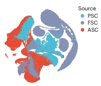 Open access visualization of Scatter Plot, UMAP, Lung Organoid, Stem Cell