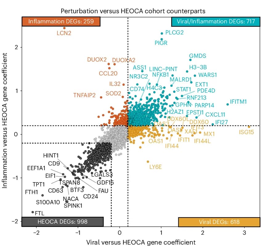 Open access visualization of Scatter Plot, Volcano Plot, Differentially Expressed Genes, Cytokine Treatment, HEOCA