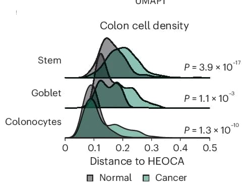 Open access visualization of Density Plot, Ridge Plot, Adjacent Normal Cells, CRC Cells, HEOCA