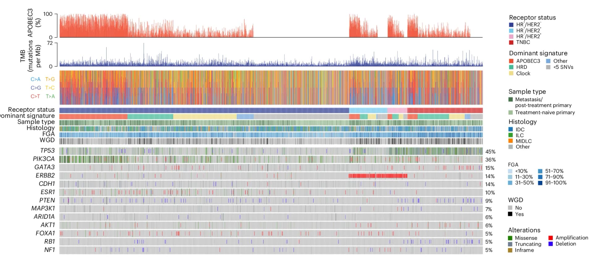 Open access visualization of Line Plot, Bar Plot, Heatmap, Genomic Characteristics, Clinical Cohort