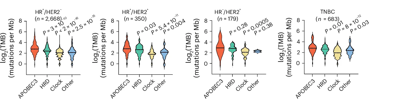 Open access visualization of Violin Plot, Violin Plots, Tumor Mutational Burden, Samples, Receptor Status