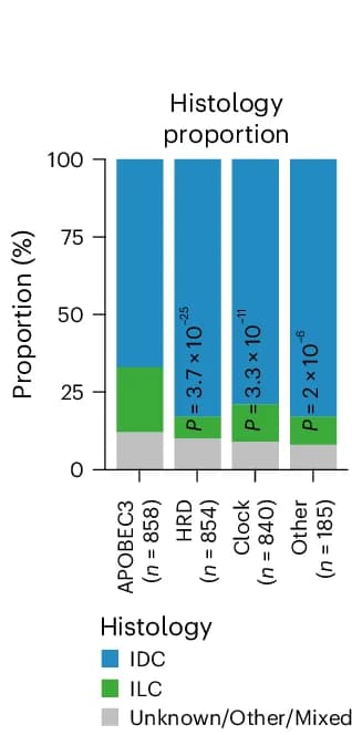 Open access visualization of Stacked Bar Plot, Samples, Mutational Signature, Histology, APOBEC3