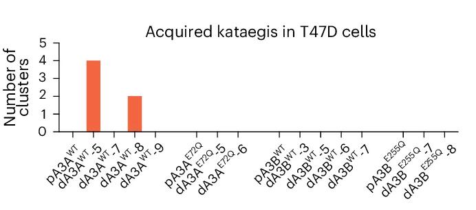 Open access visualization of Bar Plot, Barplots, Clusters, Kataegis, Samples