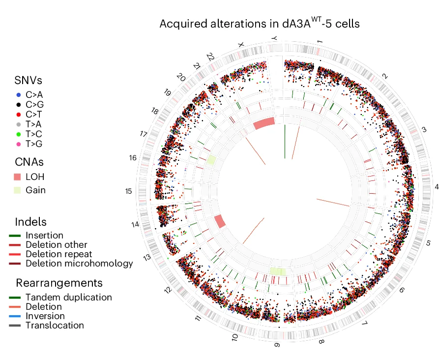 Open access visualization of Scatter Plot, Manhattan Plot, Circos Plot, SNVs, Indels
