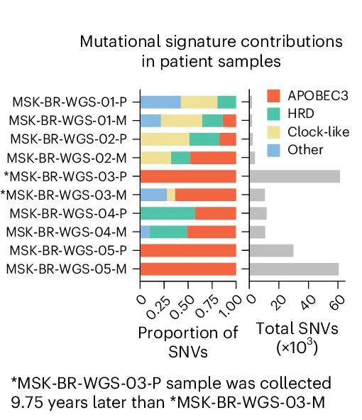 Open access visualization of Stacked Bar Plot, Bar Plot, Mutational Signature, SNVs, WGS
